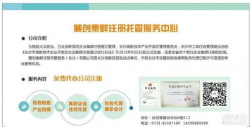 零成本創(chuàng)業(yè)第一步 如何選擇專業(yè)工商注冊與財(cái)務(wù)代理服務(wù)